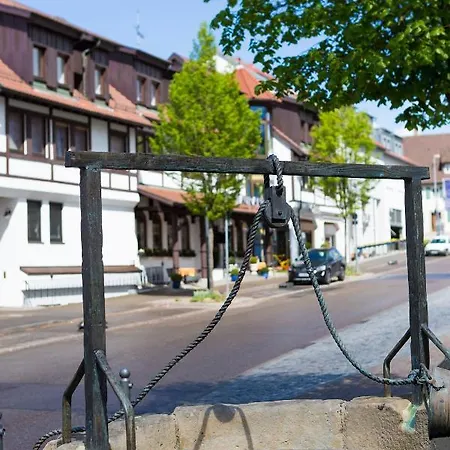 & Restaurant Goldener Pflug Hotel