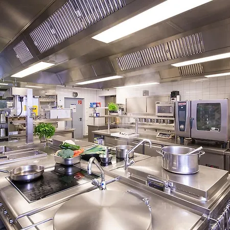 & Restaurant Goldener Pflug 4*
