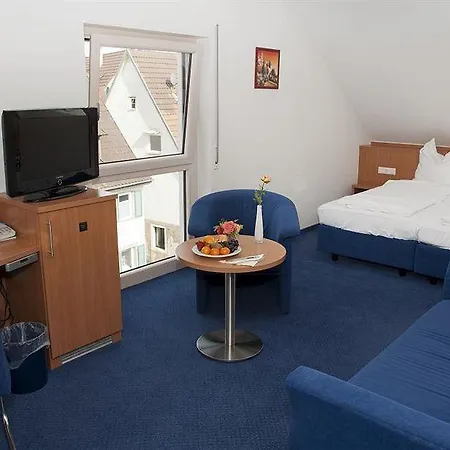 & Restaurant Goldener Pflug Hotel 4*