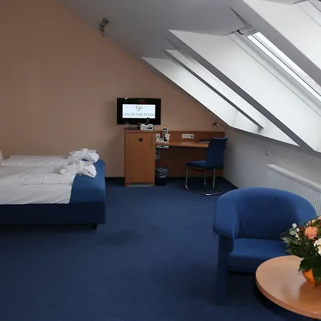 & Restaurant Goldener Pflug Hotel 4*