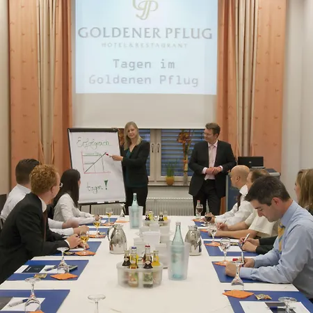 & Restaurant Goldener Pflug Hotel 4*