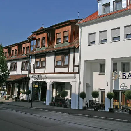 & Restaurant Goldener Pflug Hotel 4*