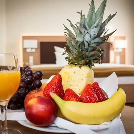 金色弗拉格餐厅酒店 酒店 路德维希堡