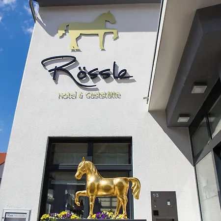 & Restaurant Goldener Pflug Otel Ludwigsburg