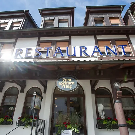 金色弗拉格餐厅酒店 路德维希堡