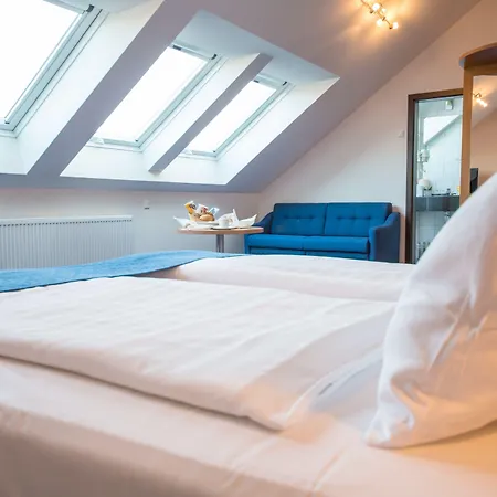 酒店 金色弗拉格餐厅酒店 路德维希堡