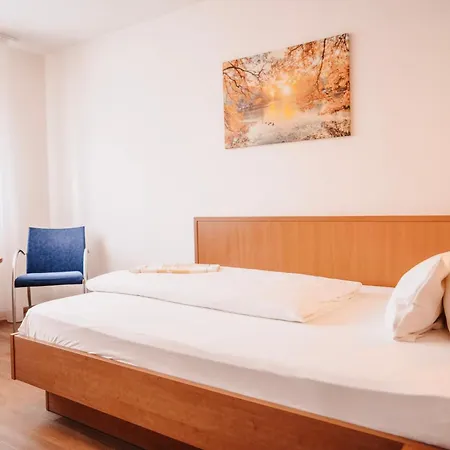 & Restaurant Goldener Pflug Otel 4*