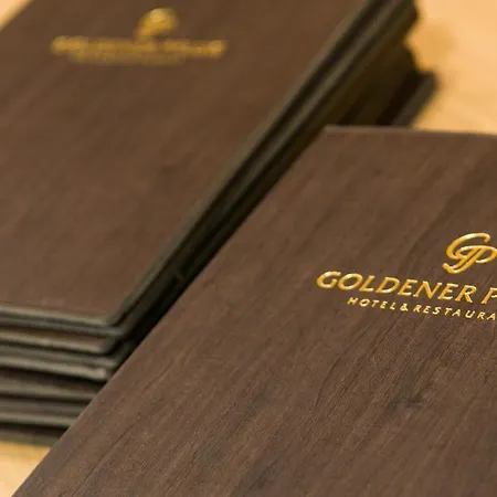 & Restaurant Goldener Pflug 4* لودفيغسبرغ