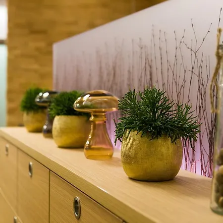 酒店 金色弗拉格餐厅酒店 4*