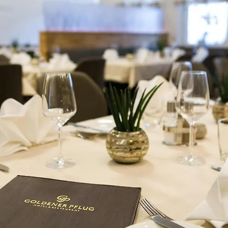 & Restaurant Goldener Pflug מלון