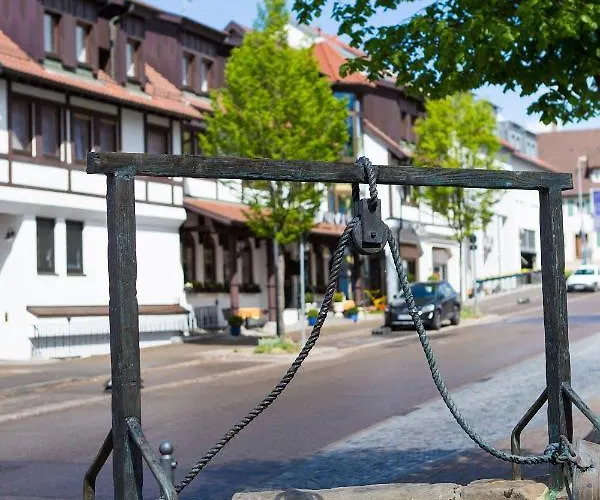 & Restaurant Goldener Pflug Otel