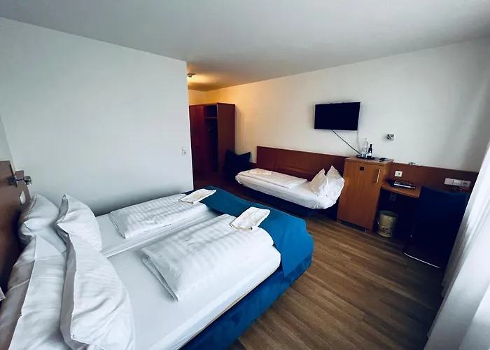 & Restaurant Goldener Pflug Otel 4*