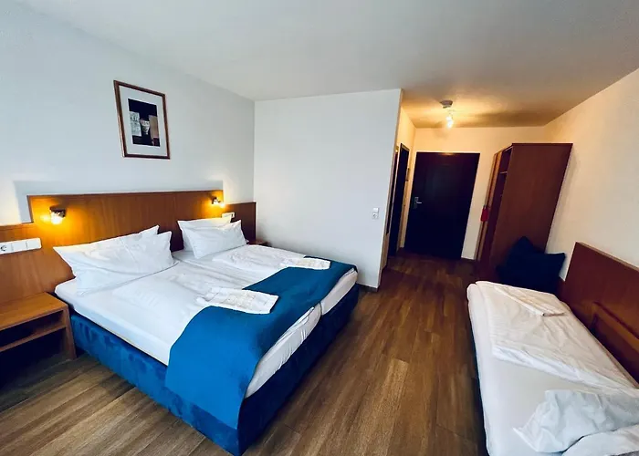 & Restaurant Goldener Pflug 4*