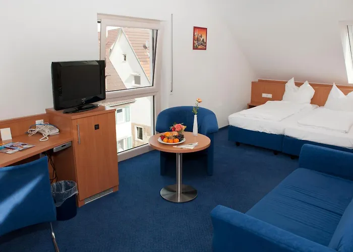 & Restaurant Goldener Pflug Otel 4*