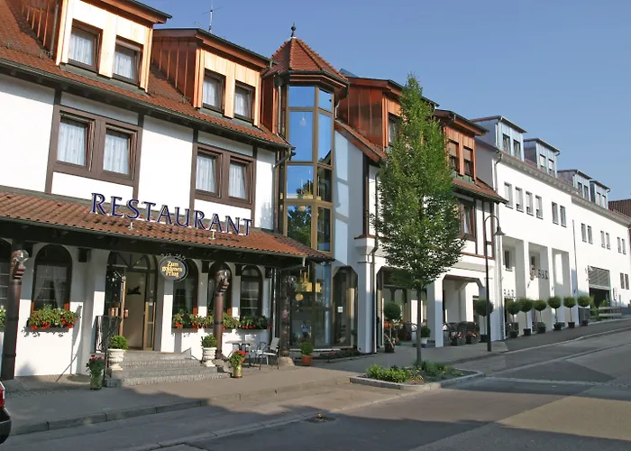 Otel & Restaurant Goldener Pflug 4*