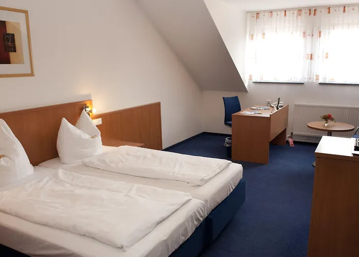 & Restaurant Goldener Pflug Otel 4*