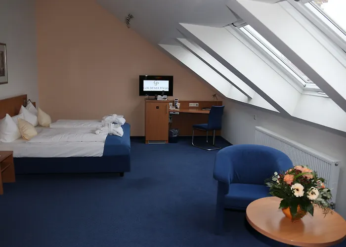 & Restaurant Goldener Pflug Otel 4*