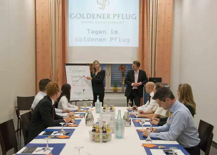 & Restaurant Goldener Pflug Otel 4*
