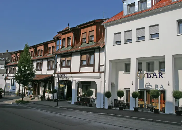 & Restaurant Goldener Pflug Otel 4*