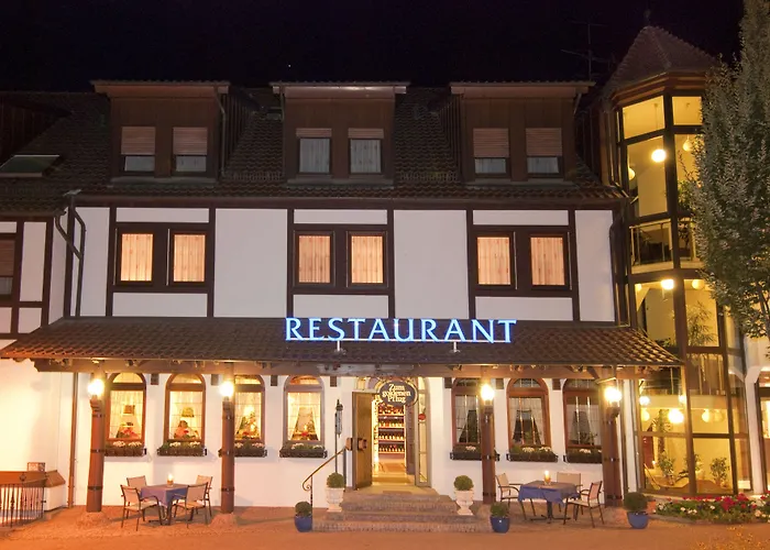 & Restaurant Goldener Pflug Otel