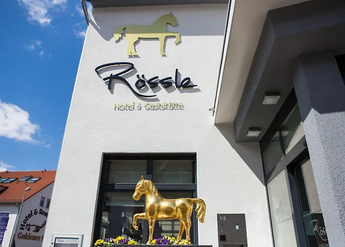 & Restaurant Goldener Pflug Otel Ludwigsburg