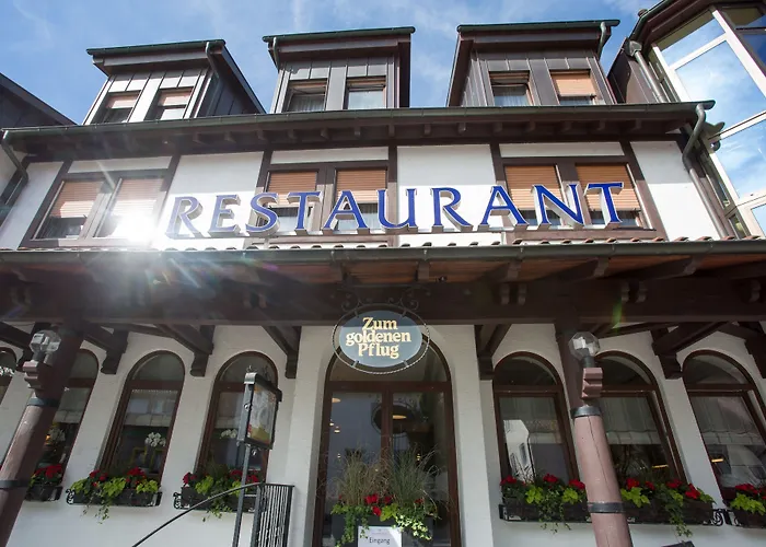 & Restaurant Goldener Pflug Ludwigsburg