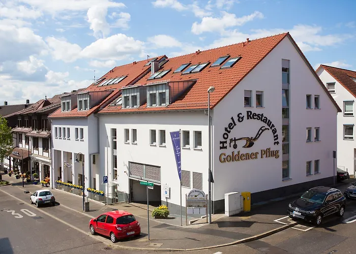 Otel & Restaurant Goldener Pflug 4*