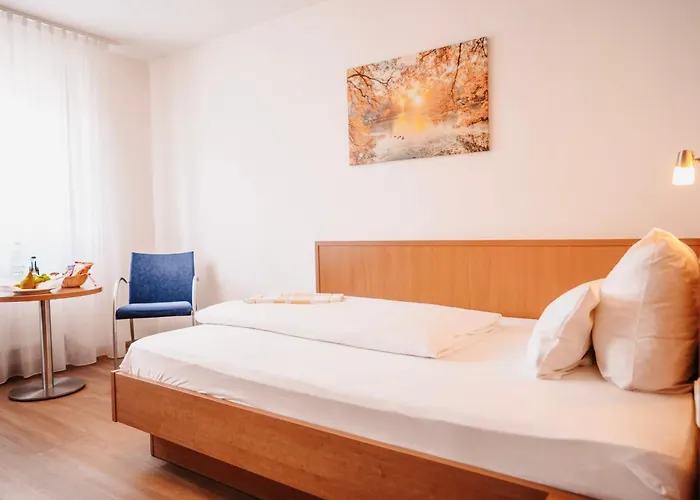 & Restaurant Goldener Pflug Otel 4*