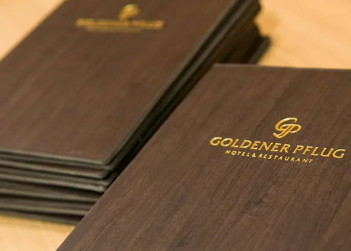 & Restaurant Goldener Pflug 4* Ludwigsburg
