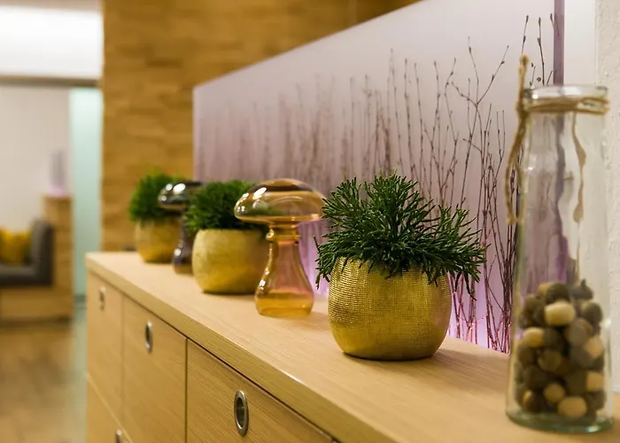 Otel & Restaurant Goldener Pflug 4*