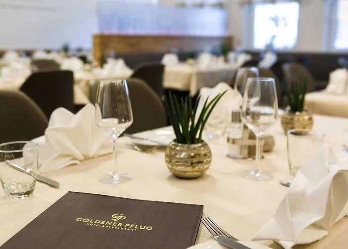 & Restaurant Goldener Pflug Otel