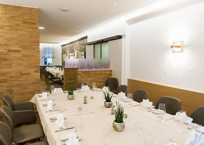 & Restaurant Goldener Pflug Otel