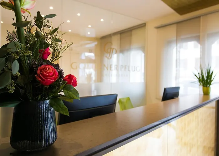 & Restaurant Goldener Pflug Otel