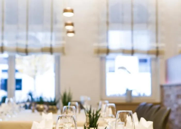 & Restaurant Goldener Pflug Otel 4*